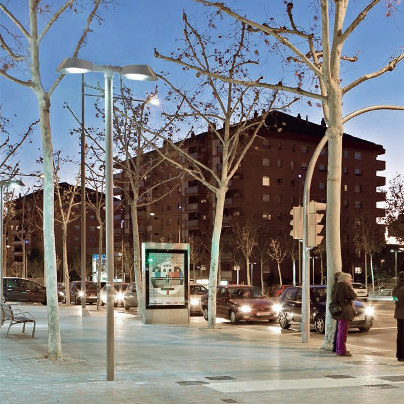 Hot-dip galvanized  Lighting Pole